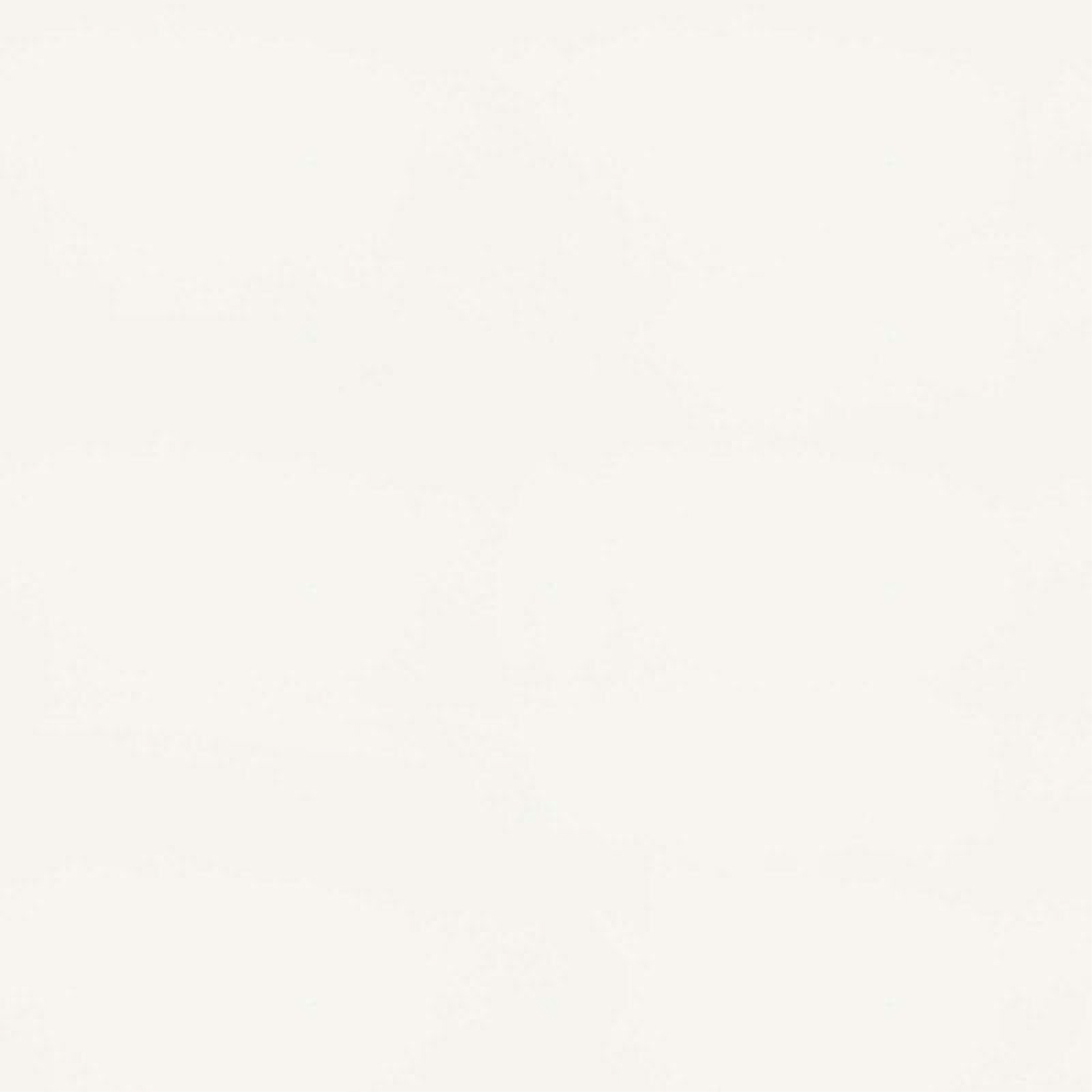Polar White